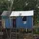 Image for article titled Brazil’s audacious plan to fight poverty using neuroscience and parents’ love